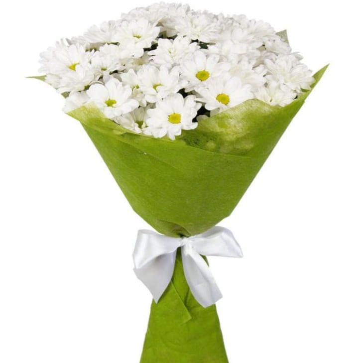 Сверкающий ручей от 2 740 руб.