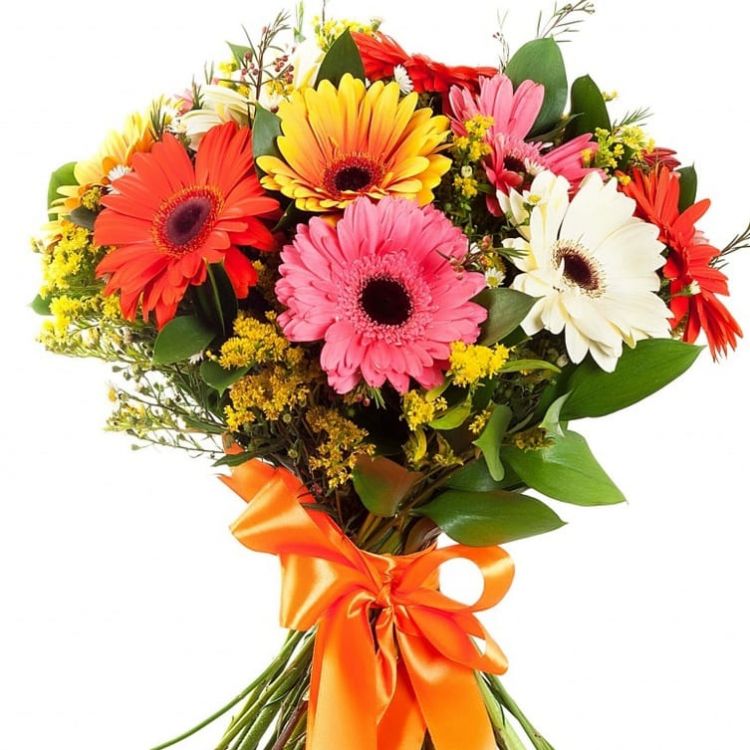 Беззаботная песня от 3 700 руб.