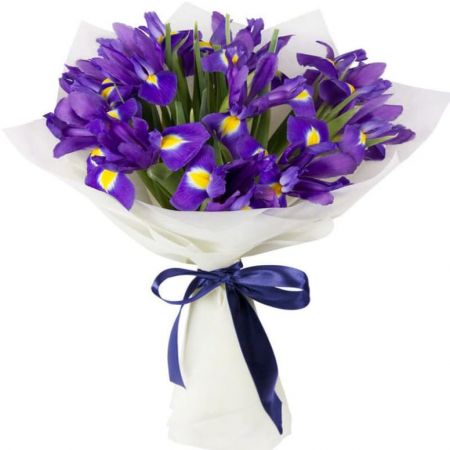 Мимолетный ветер