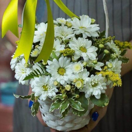 Облик нежный