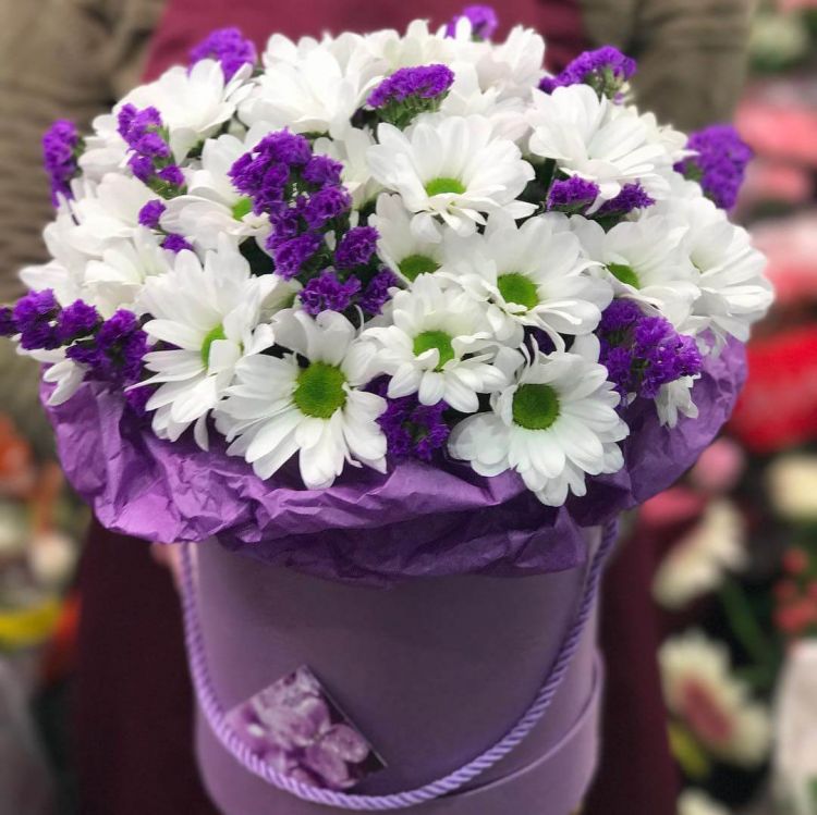 Свет небес от 6 030 руб.