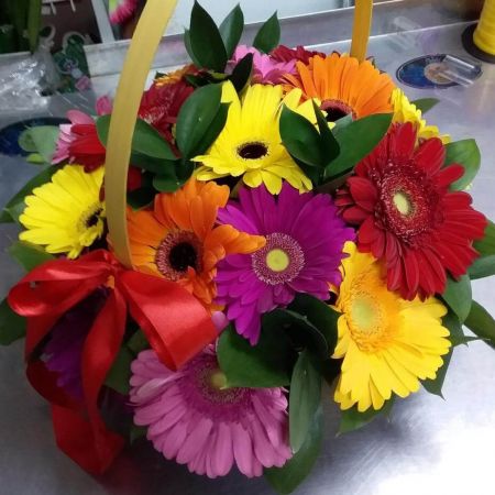 Солнечный луг