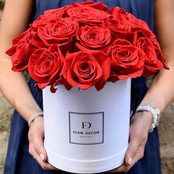 Лилиана от 6 490 руб.