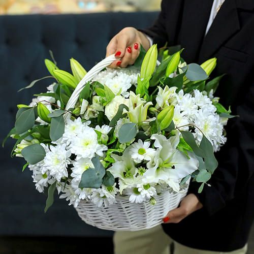 Белая луна от 6 940 руб.