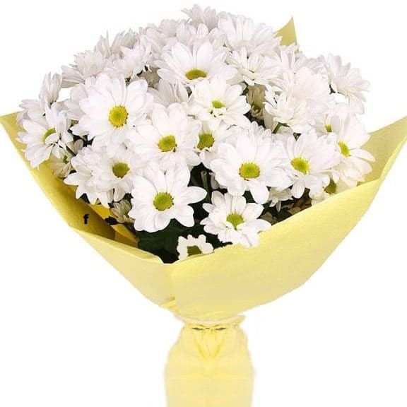 Светлые сны от 2 920 руб.