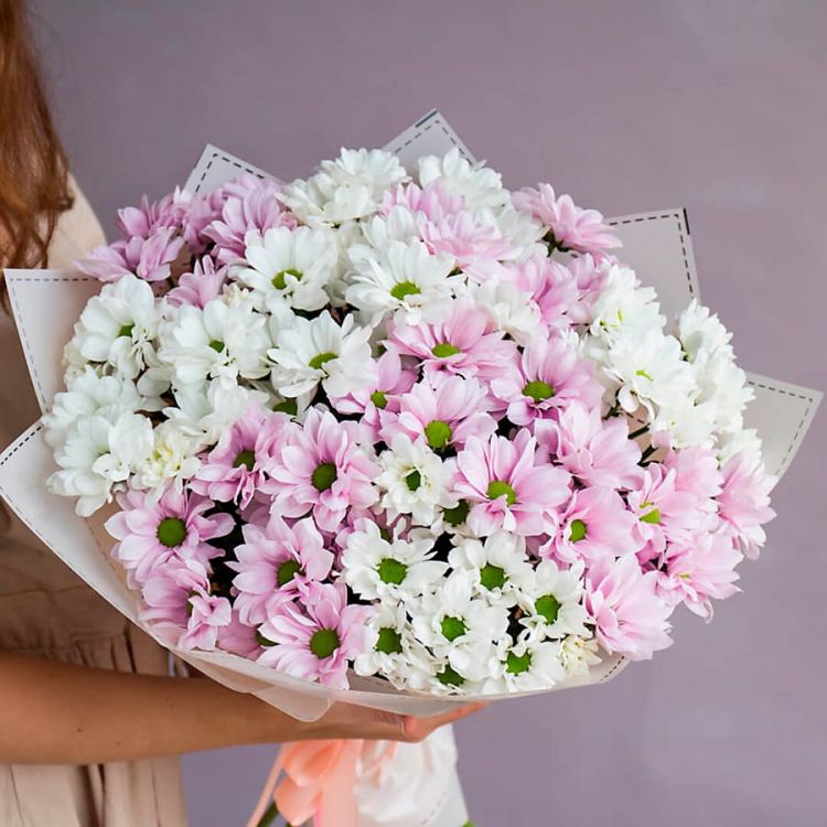 Прекрасное настроение от 4 870 руб.