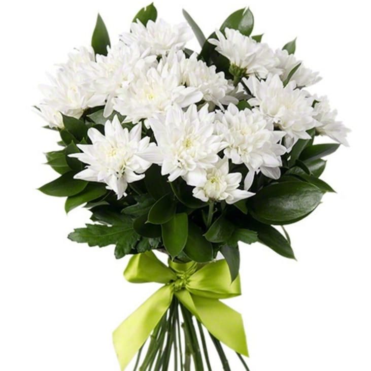 Очаровашка от 3 130 руб.